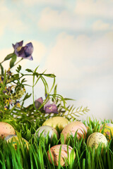 Canvas Print - Eggs in the grass