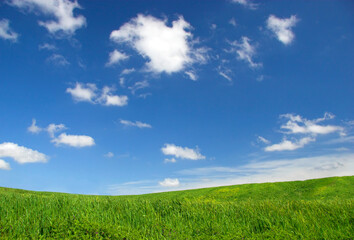 Canvas Print - Green field landscape