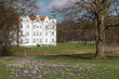 Wiese im März mit Krokussen (Crocus vernus, Frühlings-Krokus) im Schlosspark von Schloss Ahrensburg in Schleswig-Holstein, Deutschland