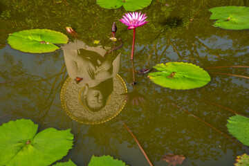 Wall Mural - Buddha statue reflection in a lotus pond