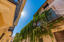 Almansa Street With Ivy Covered Facade And Sun Star