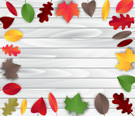 Wall Mural - Autumn wooden board background with realistic colorful leaves. Vector illustration.