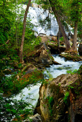 Wall Mural - River through woods