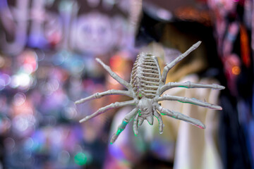 White halloween spider skeleton hanging