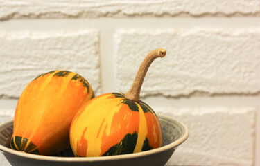 Decorative little orange-green pumpkins on a white background, autumn harvest in anticipation of Halloween