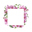 © yuliya_derbisheva - Watercolor square frame with pink orchids. Hand painted tropical border with flowers, leaves and buds isolated on white background. Floral illustration for design, print, background.