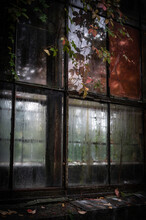 Rusty Windows Of The Old Abandoned Greenhouse