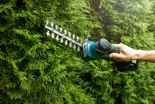 Pruning Evergreen Garden Hedge With Electric Scissors