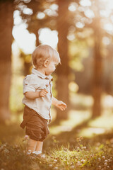 Wall Mural - A small blond boy dressed in a vintage jumpsuit in a field at sunset