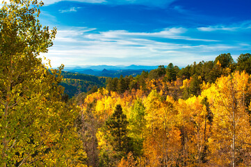 Wall Mural - autumn in the mountains