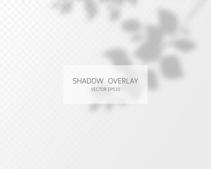 Shadow overlay effect. Natural shadows isolated on transparent background. Vector illustration. 