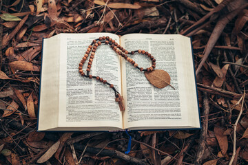 Expanded book lying on the ground covered with autumn leaves and tree cones. Autumn style and mood. reading books and praying during autumn. colors and beauty of autumn.