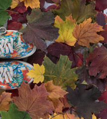 Sticker - sneakers, autumn red leaves background