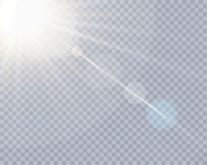 Poster - Vector transparent sunlight special lens flash light effect