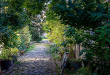 Paris, France - June 24, 2020: Durmar Street: One Of The Romantic Courtyards In The East Of Paris, France. These Bucolic, Unusual And Hidden Spots Are Delightful Gems To Explore