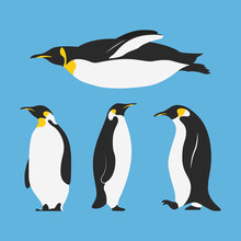 Group Of Penguins Birds Characters