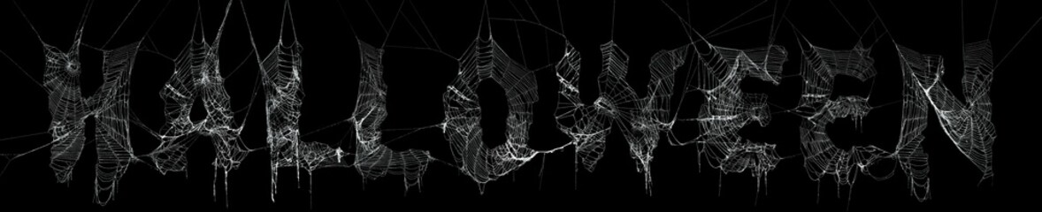 collage of real spider webs to make highly detailed halloween text on black
