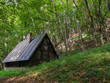 canvas print picture - Holzhaus in einer kleinen Lichtung im Laubwald