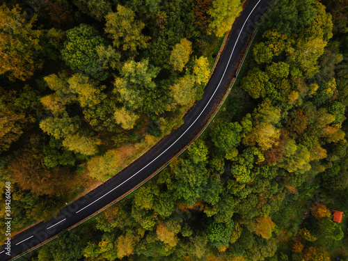 Top down aerial view drone image on the road trough the trees and forest in mountain range in autumn day - Babin Zub Old Mountain in Serbia - Travel journey and vacation concept