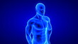 © m3ron - male fitness body - muscle mass building illustration on blue background