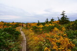 Fototapeta Na ścianę - Scenery of Hakkoda Mountains in Japan with beautiful autumn colors