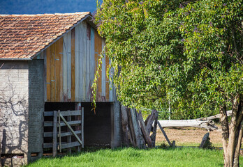 Wall Mural - Galpão de madeira antigo em área rural