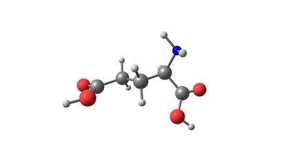 Wall Mural - Glutamic acid rotating video on white
