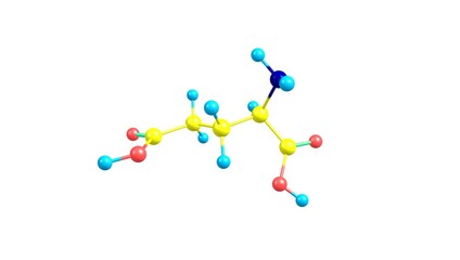 Wall Mural - Glutamic acid rotating video on white