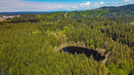 Wall Mural - small forest lake, view from above. tiger mountain, around the lake trail, washington, usa