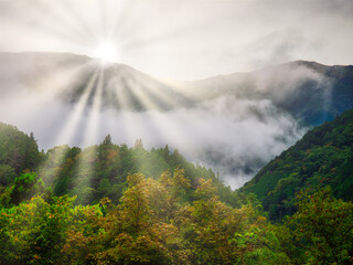 Canvas Print - 雨上がりの山