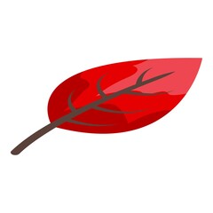 Wall Mural - fall leaves icon. isometric of fall leaves vector icon for web design isolated on white background
