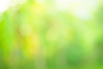 Wall Mural - green abstract bokeh light background.