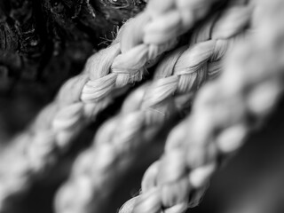 Wall Mural - Black and white closeup of rope