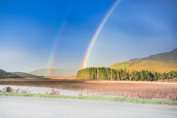 Wall Mural - Rainbow over the forest and moorlands in autumn, Isle of Skye, Scotland