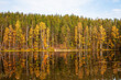 Autumn landscape. Russia. Karelian Isthmus.