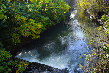 river with vegetation reflections in autumn day