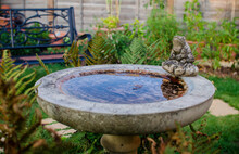 Garden Ornamental Birdbath