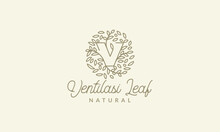 Initial V Or Letter V With Leaf  Ornament On Circle Luxury Modern Logo Vector Icon Illustration Design