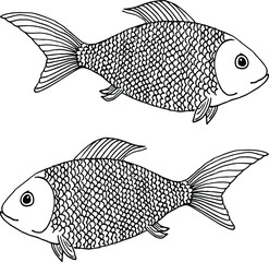 Two fish drawn lines. River fish with lots of scales. Crucians with fins. Coloring for kids. River fishing.