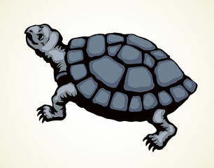 Wall Mural - The little turtle is crawling. Vector drawing