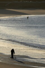 Wall Mural - Treasure seeker on the beach