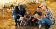 © VAKSMANV - Cheerful Caucasian mother and father with small happy kids - son and daughter petting lamb in stable with hay. Parents with little boy and girl caressing and stroking animal at farm. Family of farmers