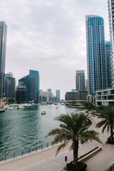 Wall Mural - Dubai marina skyscrapers and man made lake