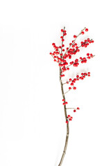 Wall Mural - Minimal seasonal composition. Pattern of branch with red berries on isolated white background. Christmas holidays, winter concept. Copy space, flat lay.