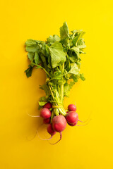 Wall Mural - a bunch of fresh raw redish vegetable with leafs isolated