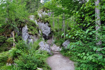 Canvas Print - Unterwegs am Wimbachklamm