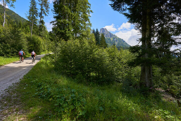 Tannheimer mountain chamois head, path with bright pebbles leads towards a high landform, two cyclist drives on the way, blue sky with white clouds. Bavaria, Pfronten.