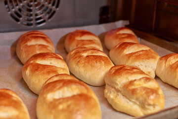 Close up of delicious milk bread buns baking and browning in a home oven