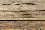 Fototapeta Tulipany - Beautiful horizontal texture of gray and brown boards with knots and resin is in the photo
