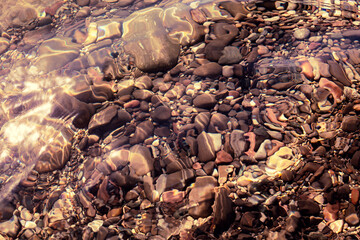 Wall Mural - stones under clear sea water